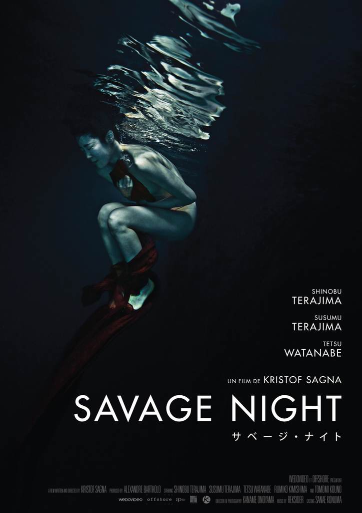 affiche du film Savage Night