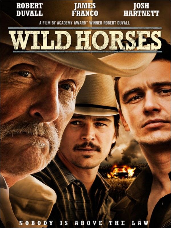 affiche du film Wild Horses