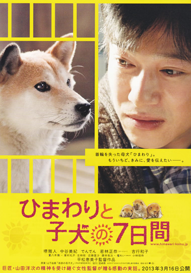 affiche du film 7 Days of Himawari & Her Puppies