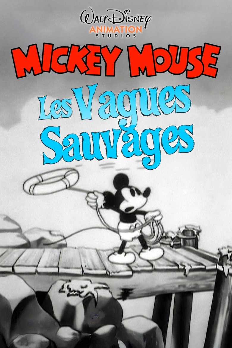 affiche du film Les Vagues Sauvages