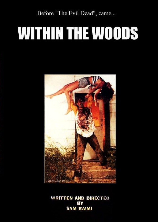 affiche du film Within the woods