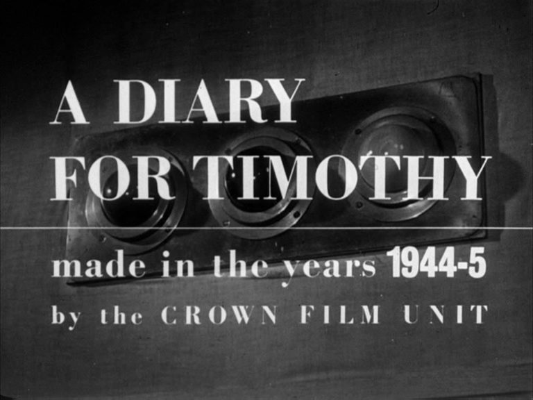 affiche du film A Diary for Timothy