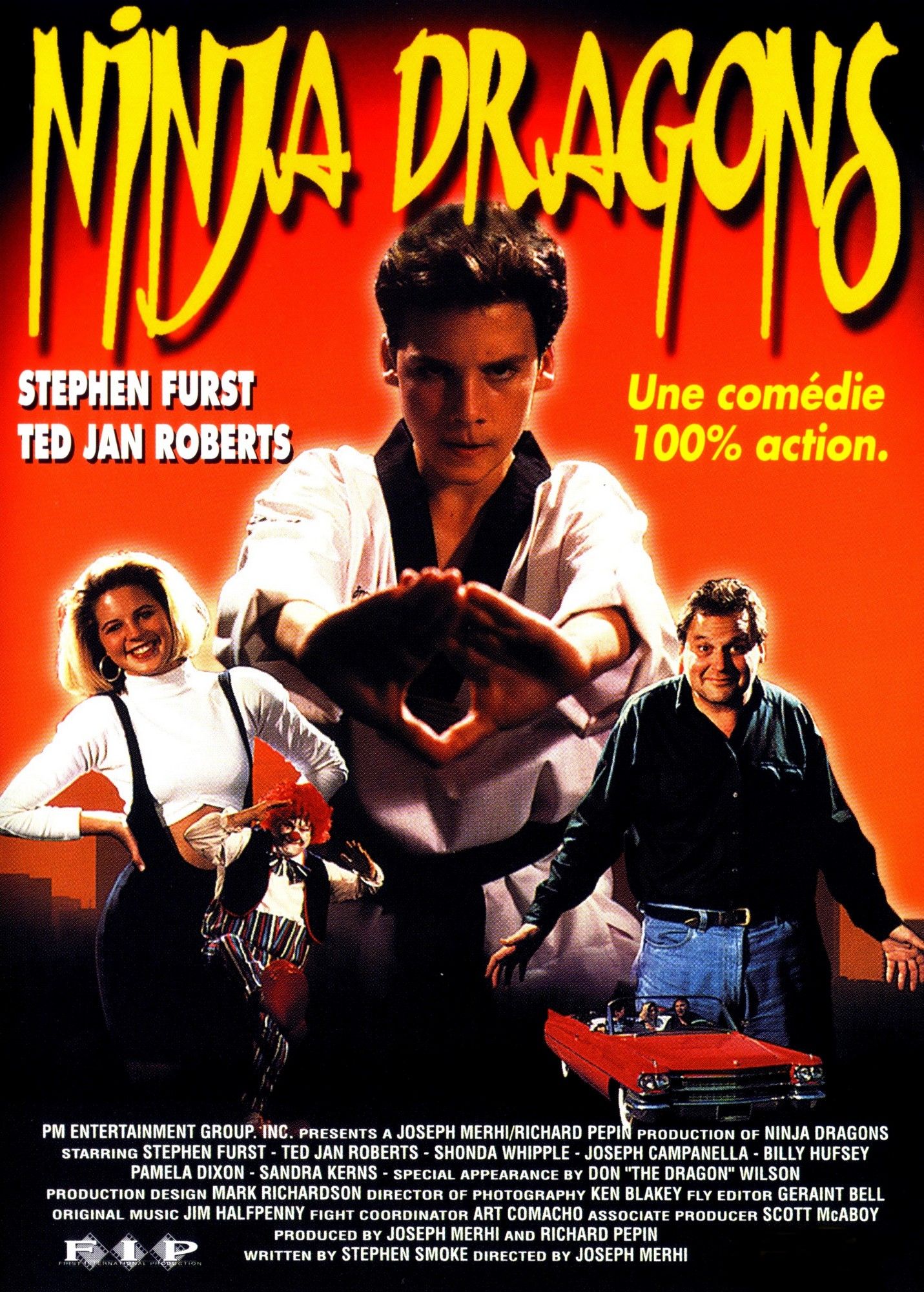 affiche du film Ninja Dragon