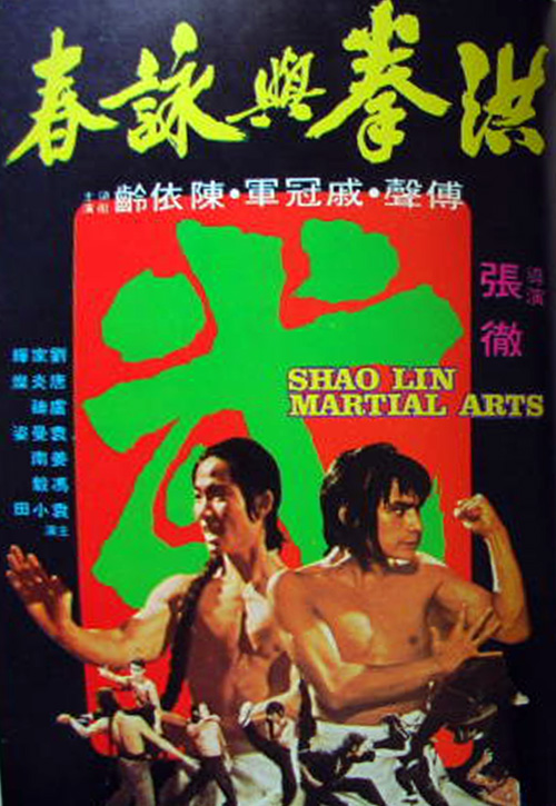 affiche du film Shaolin Martial Arts