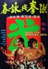 Shaolin Martial Arts (Hong quan yu yong chun)
