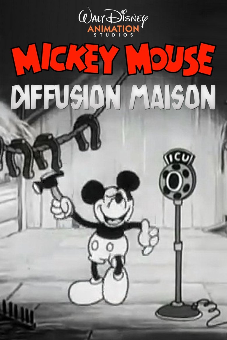 affiche du film Diffusion maison