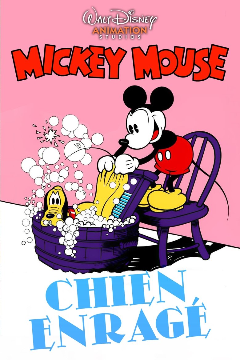 affiche du film Chien enragé