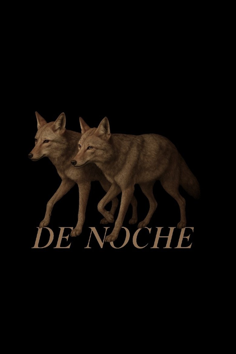 affiche du film De Noche
