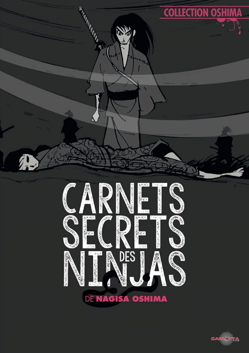 affiche du film Carnets secrets des ninjas