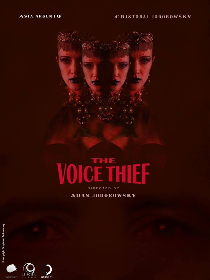 affiche du film The Voice Thief