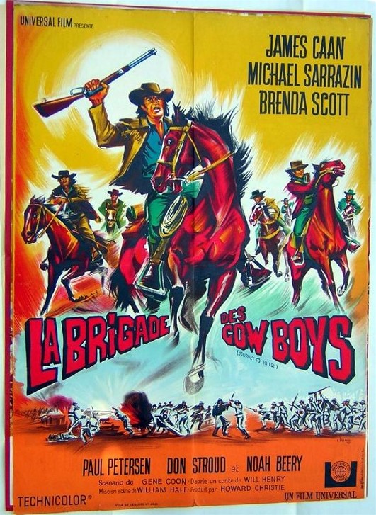 affiche du film La brigade des cow-boys