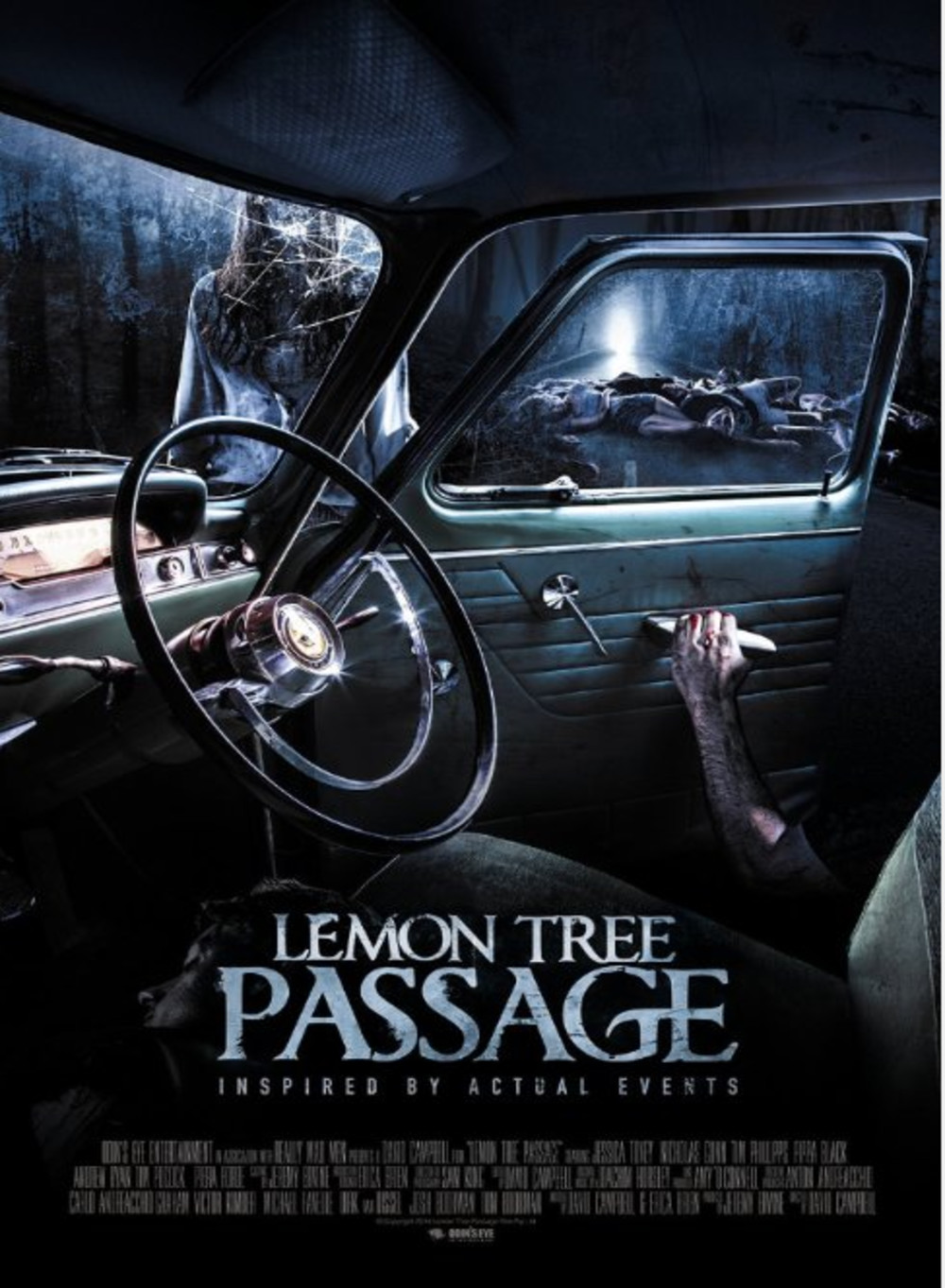affiche du film Lemon Tree Passage