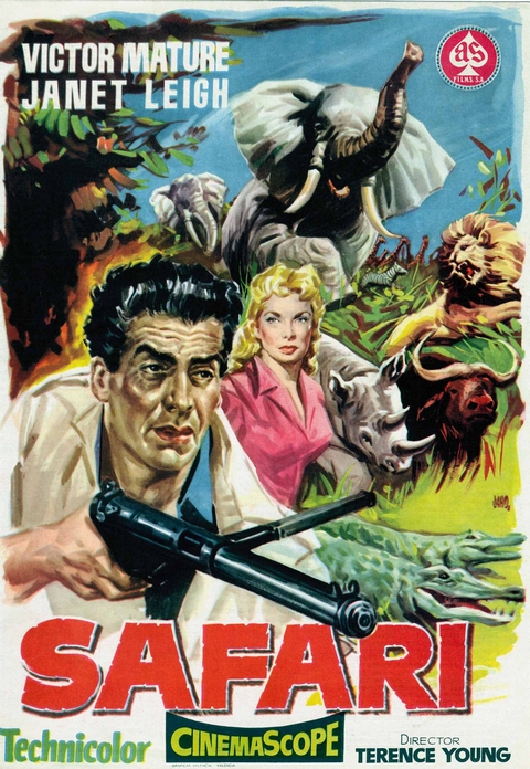 affiche du film Safari