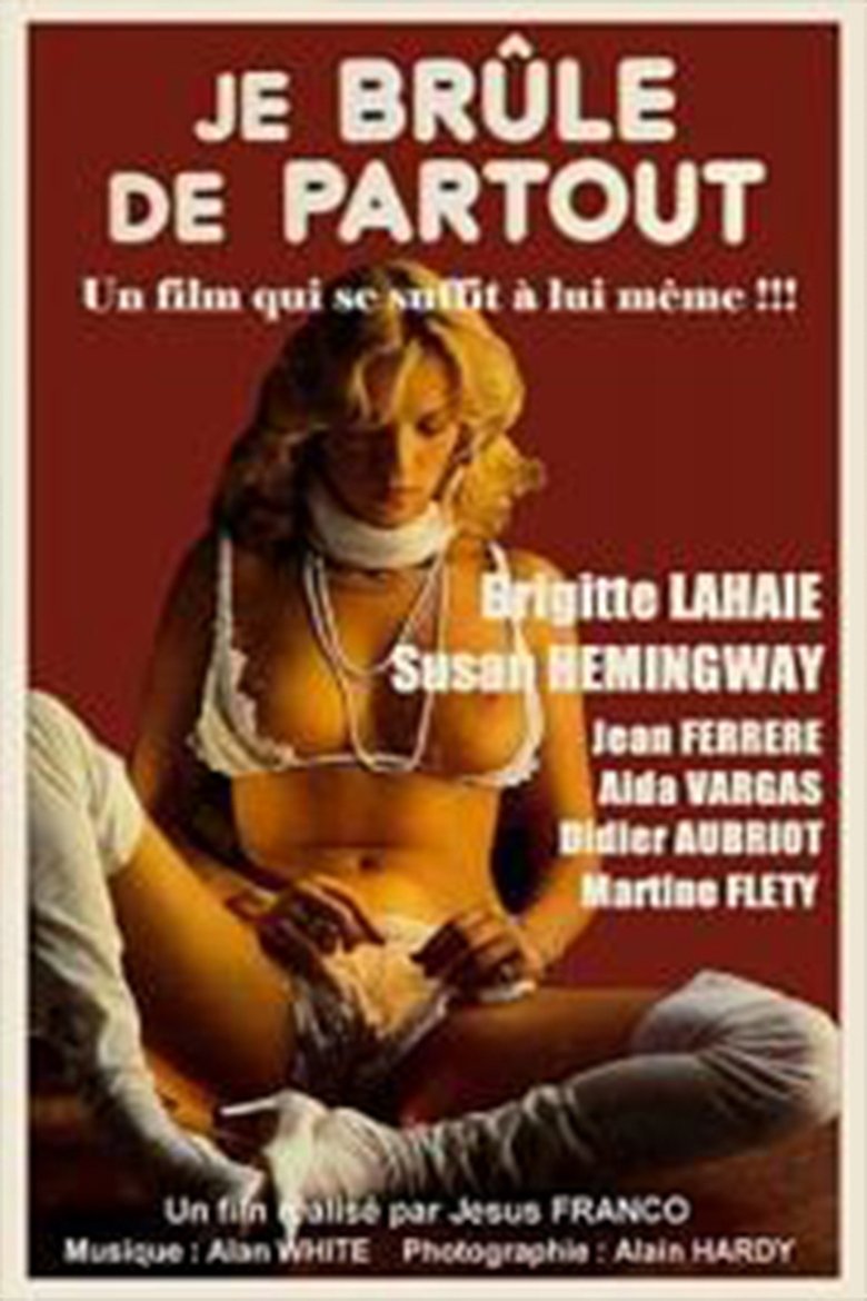 affiche du film Je brûle de partout