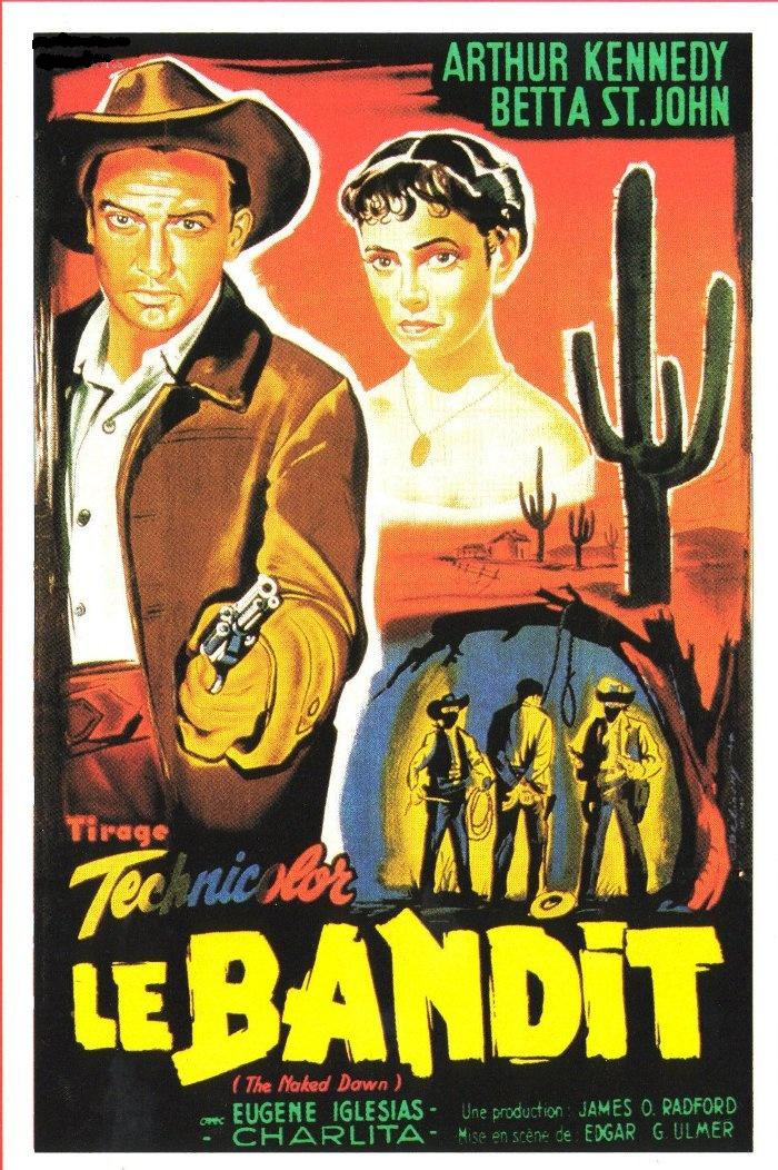 affiche du film Le Bandit