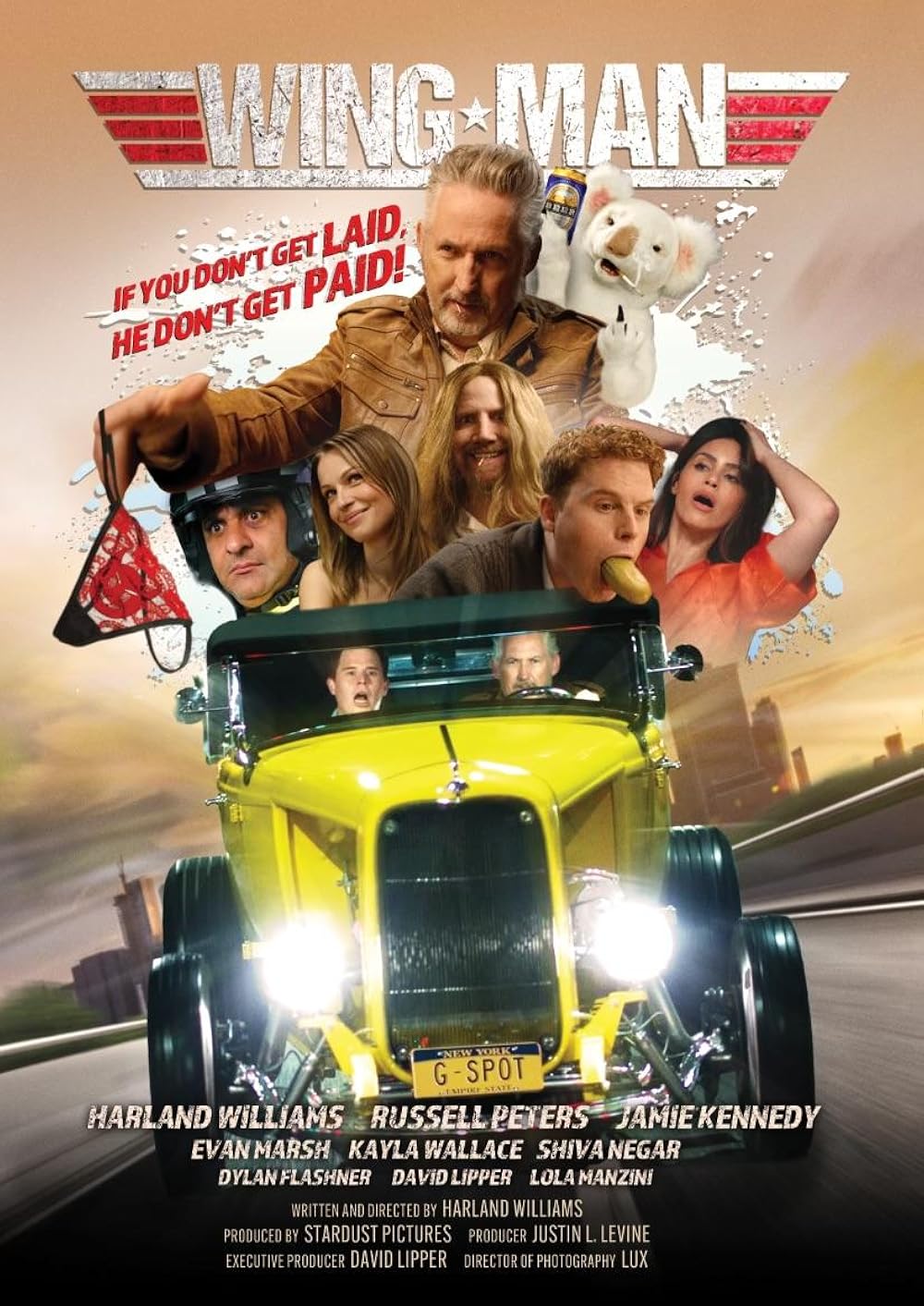 affiche du film Wingman