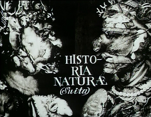 affiche du film Historia Naturae (Suita)