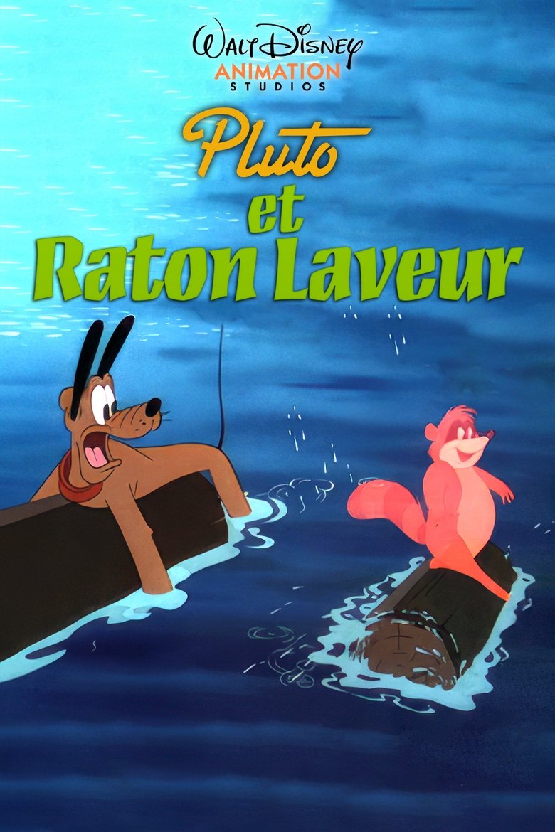 affiche du film Pluto et le Raton Laveur