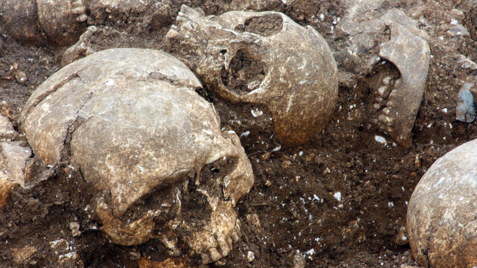 affiche du film Vikings, les mystères d'un massacre