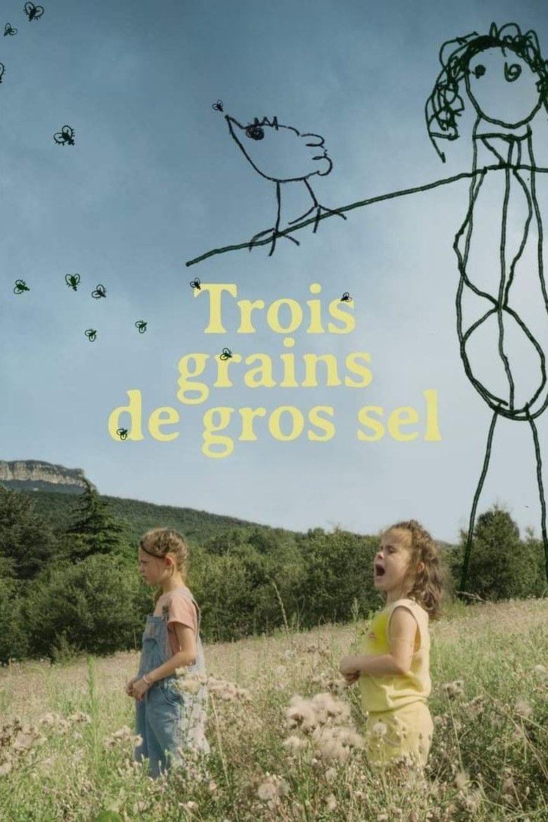 affiche du film Trois grains de gros sel