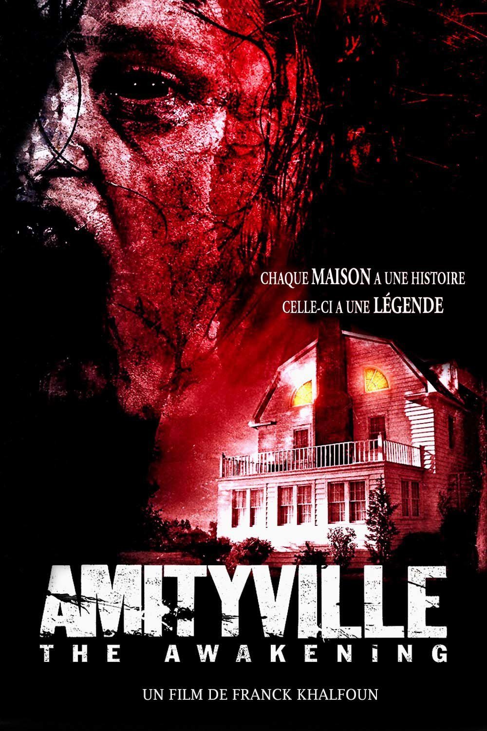 affiche du film Amityville: The Awakening