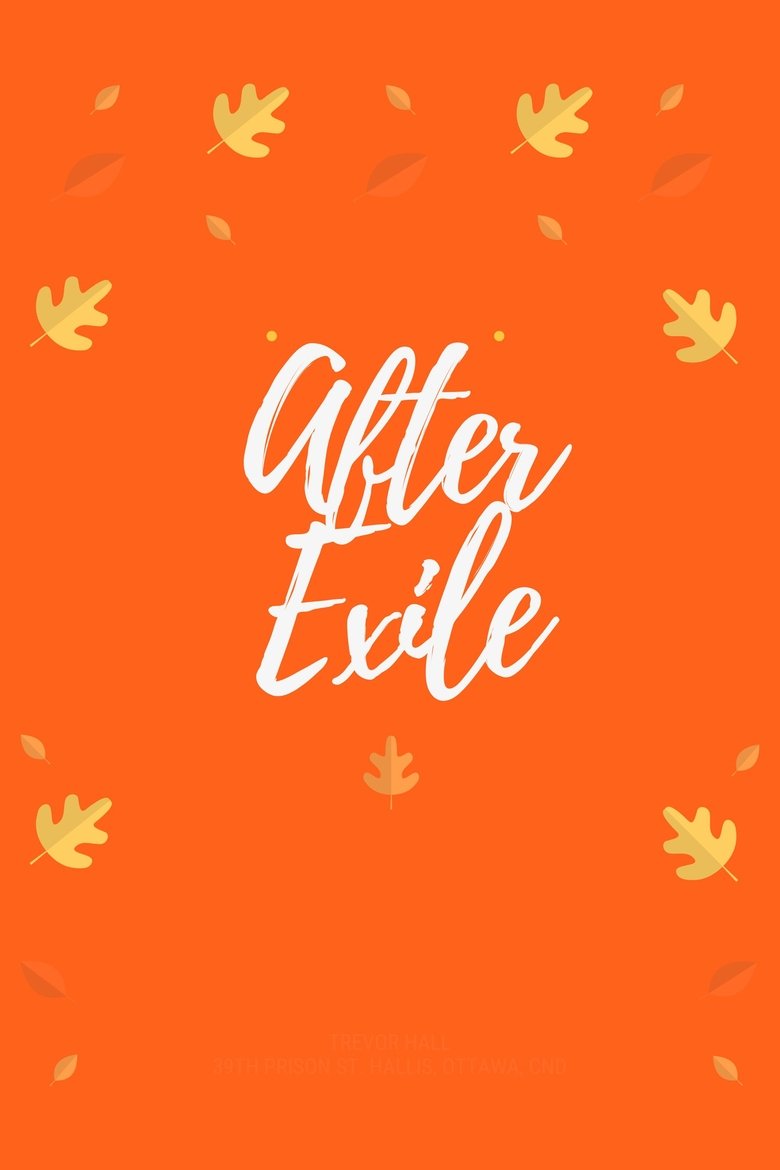 affiche du film After Exile