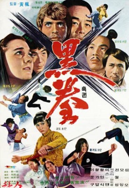 affiche du film L' Heure du taekwondo