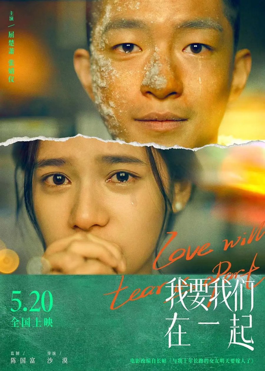 affiche du film Love Will Tear Us Apart