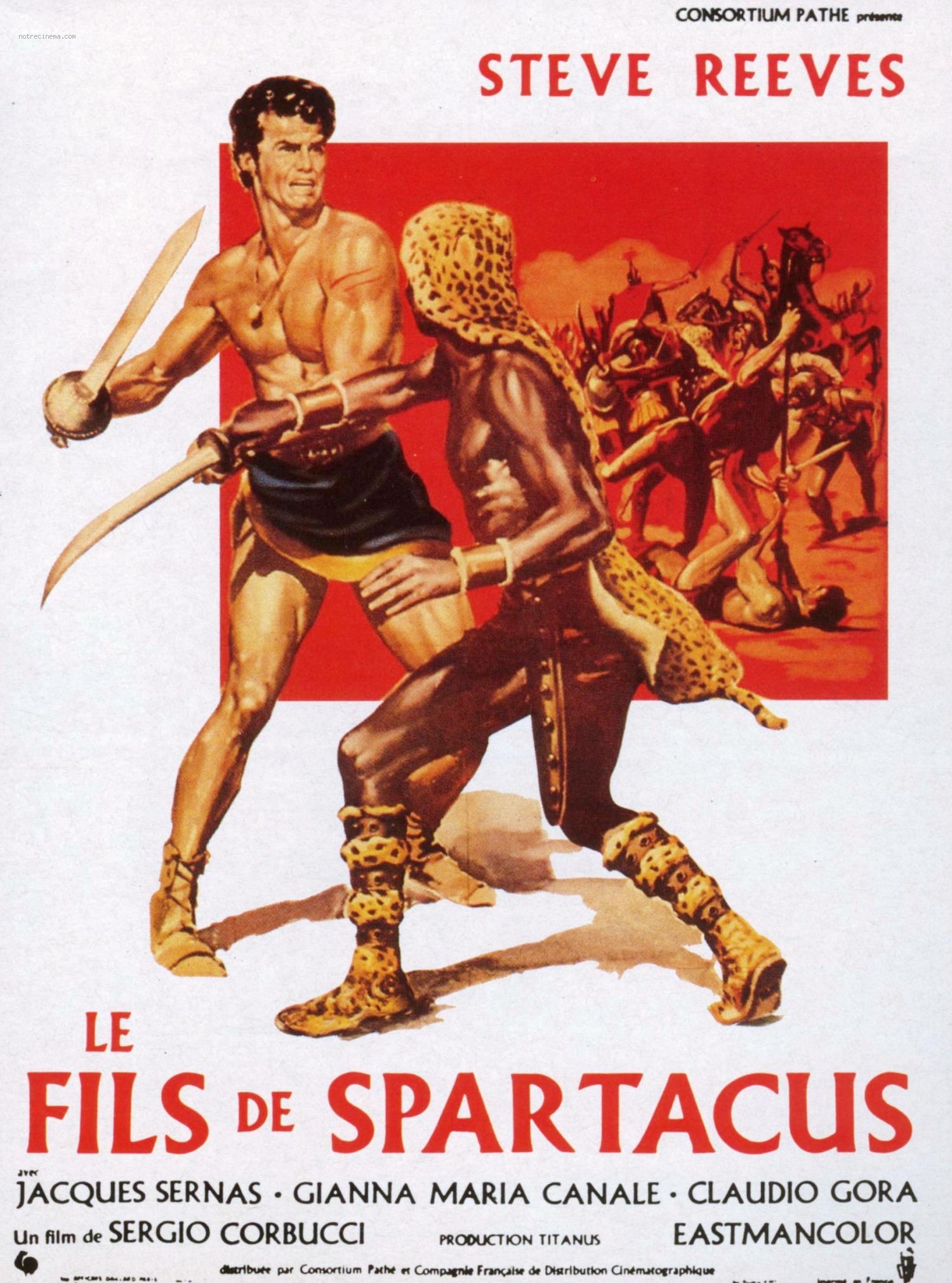 affiche du film Le Fils de Spartacus