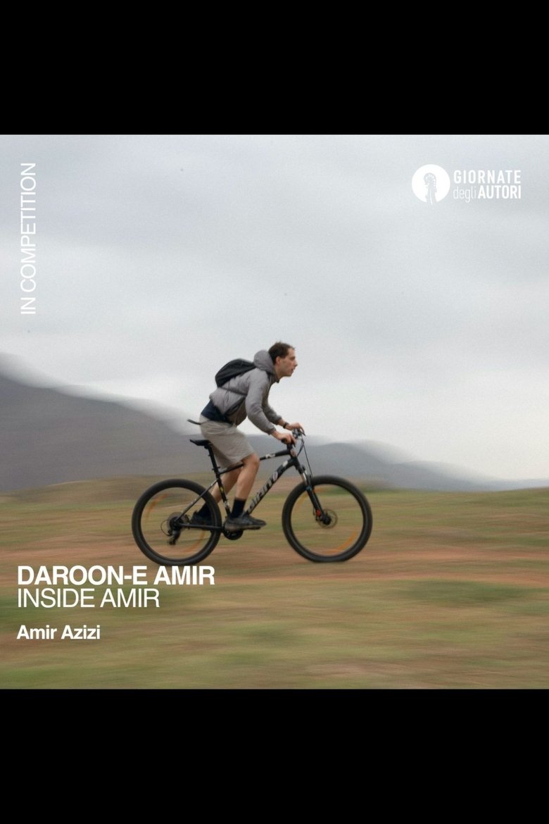 affiche du film Inside Amir