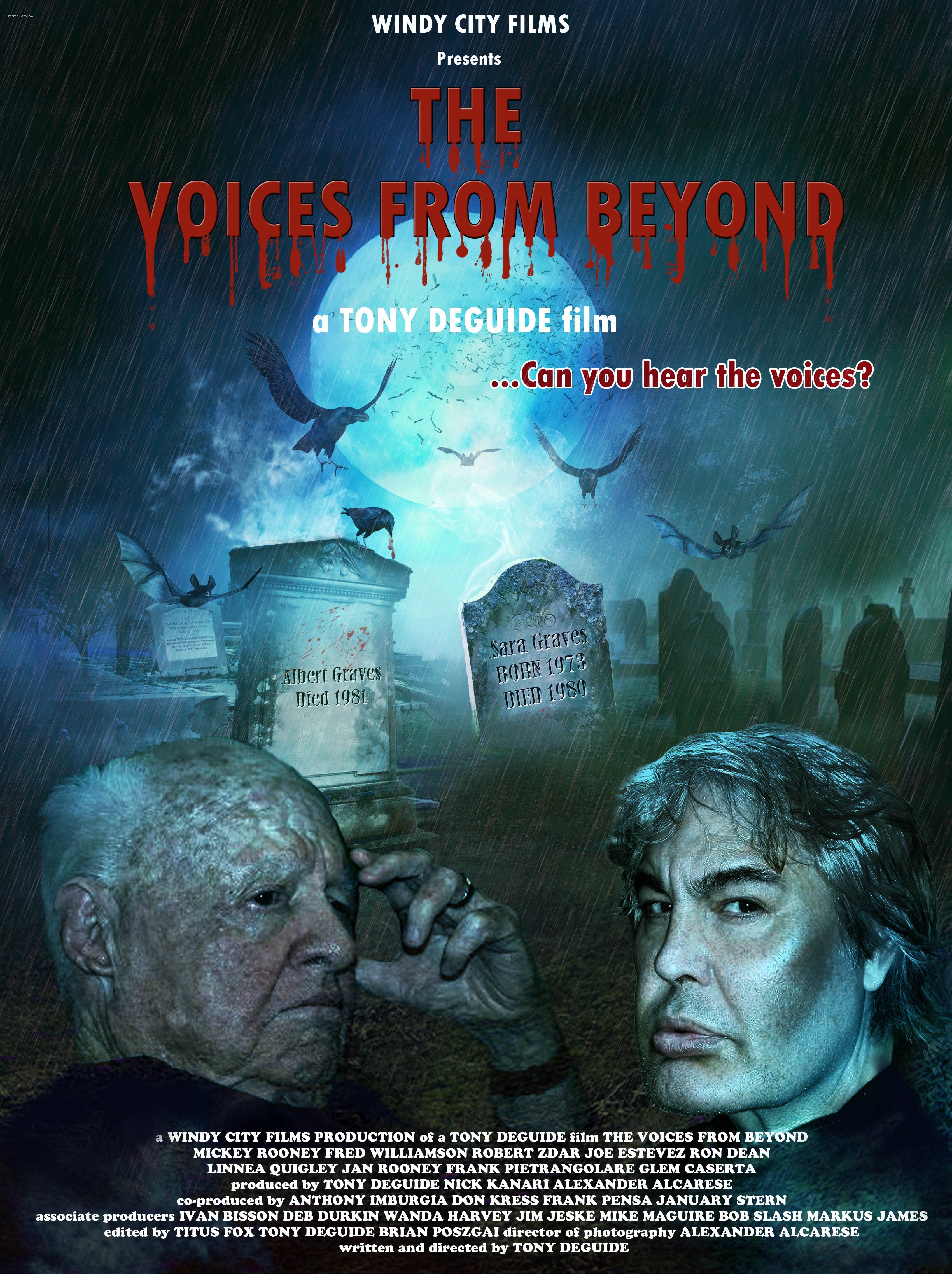 affiche du film The Voices from Beyond
