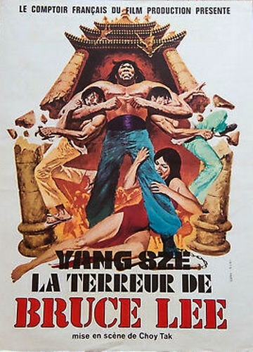 affiche du film La terreur de Bruce Lee