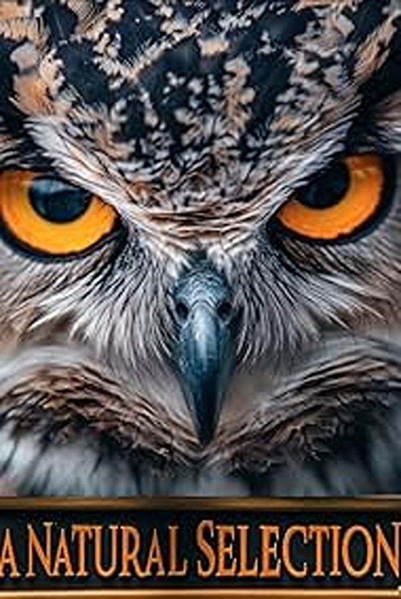 affiche du film A Natural Selection