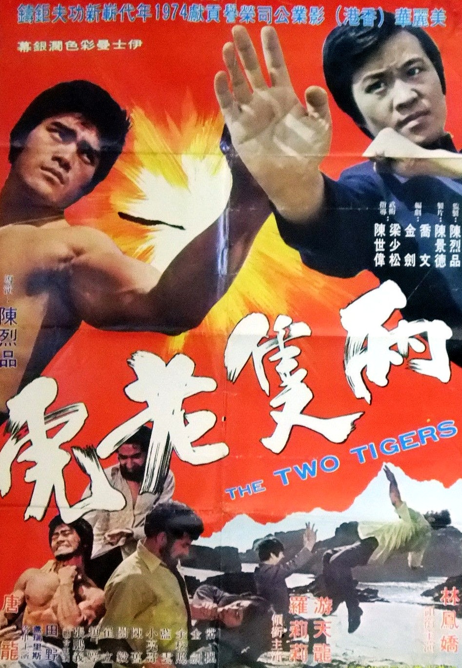 affiche du film The Two Tigers