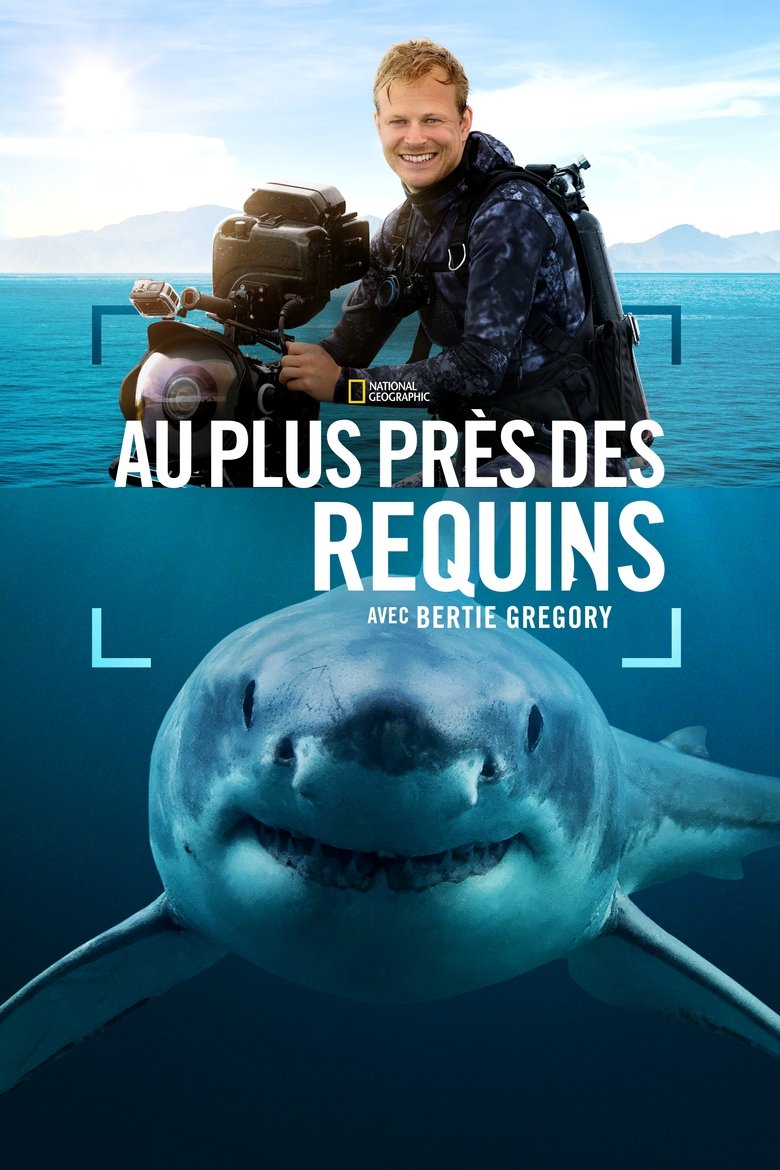 affiche du film Au plus près des requins avec Bertie Gregory