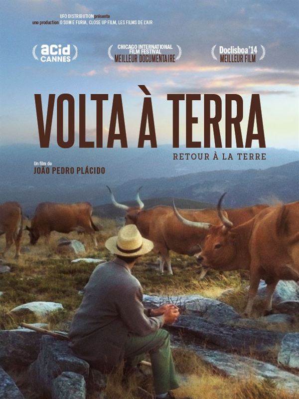 affiche du film Volta à Terra