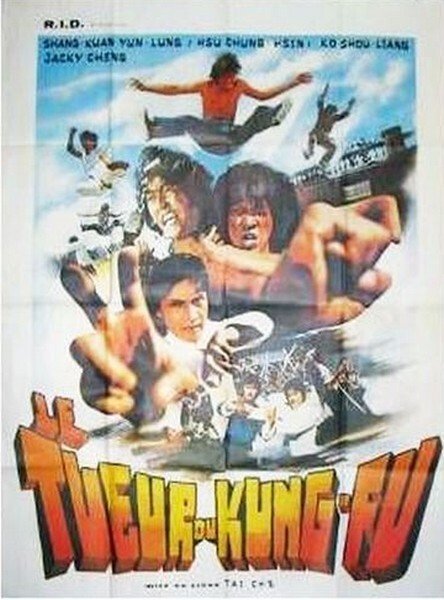 affiche du film Le tueur du kung-fu