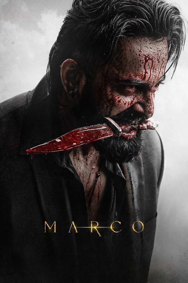 affiche du film Marco