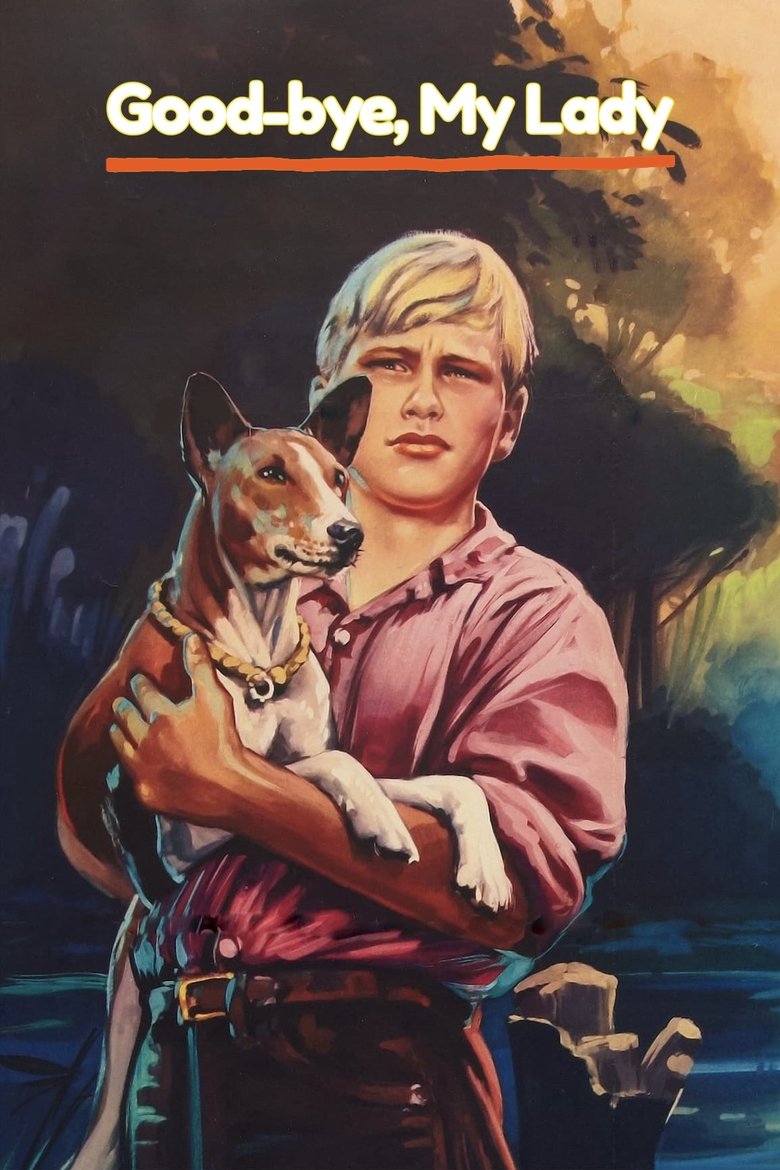 affiche du film Adieu Lady