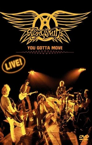 affiche du film Aerosmith: You Gotta Move