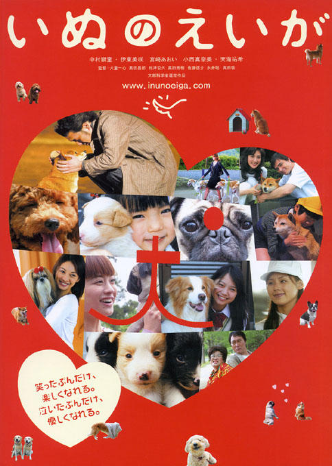 affiche du film All About My Dog