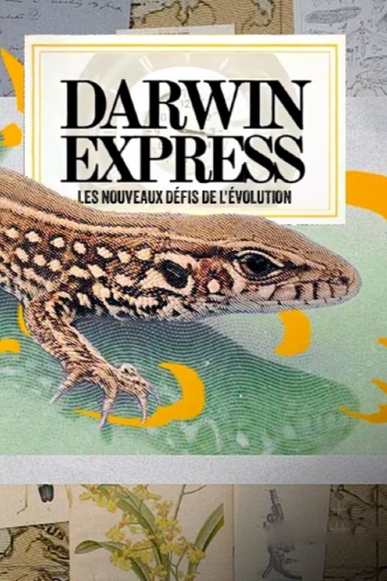 affiche du film Darwin express - Les nouveaux défis de l'évolution