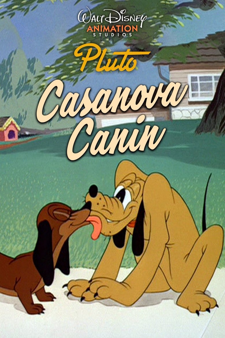 affiche du film Casanova Canin