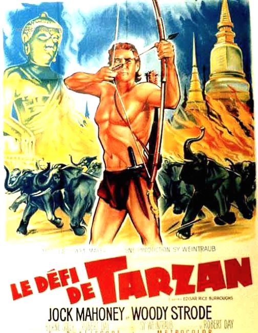 affiche du film Le Défi de Tarzan
