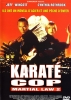 La loi des arts martiaux 2 : Karaté Cop (Martial Law II: Undercover)