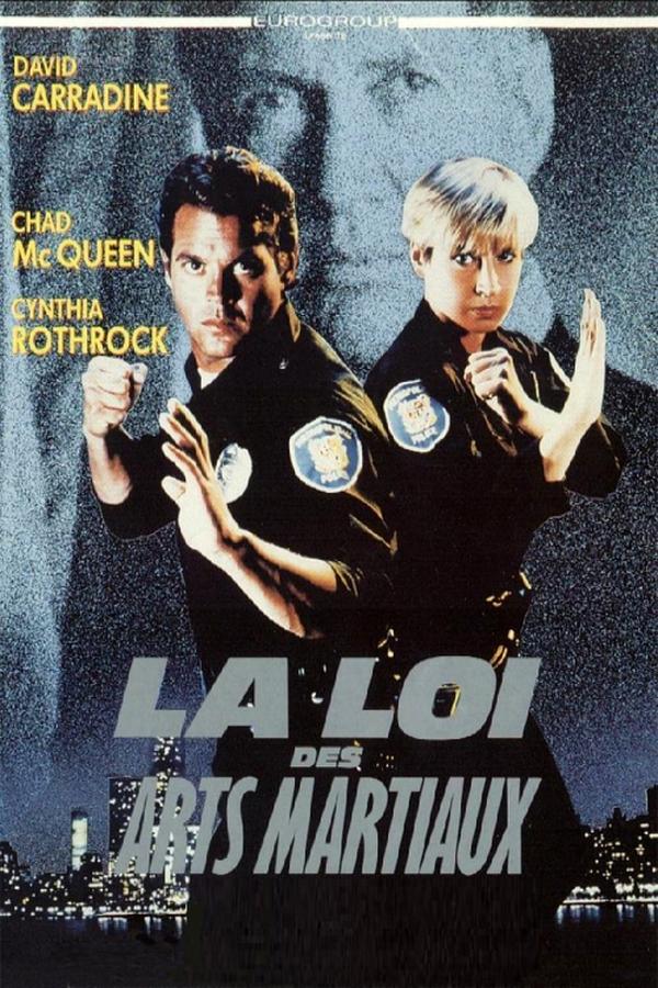 affiche du film La loi des arts martiaux