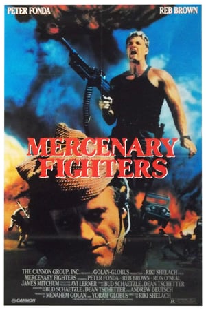 affiche du film Mercenary Fighters