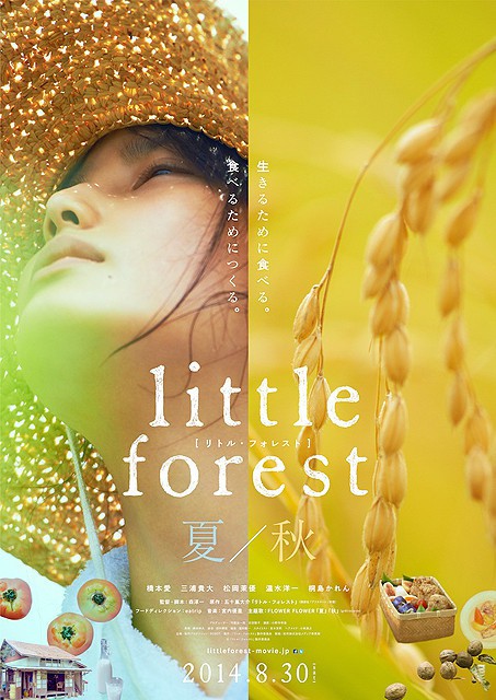 affiche du film Little Forest: Summer & Autumn