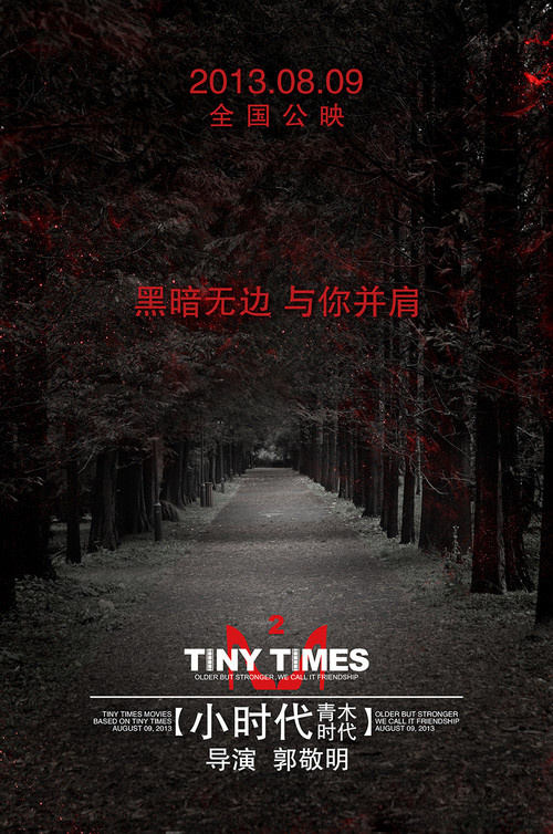affiche du film Tiny Times 2.0