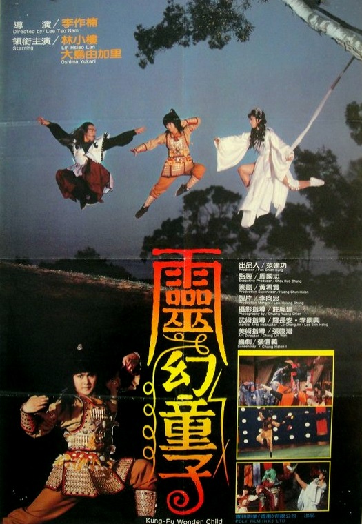 affiche du film Kung Fu Wonder Child